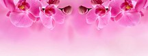 Panoramaticky obraz Orchidea zs267